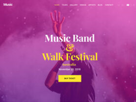 This music website design is for musicians, recording labels, and promo firms.